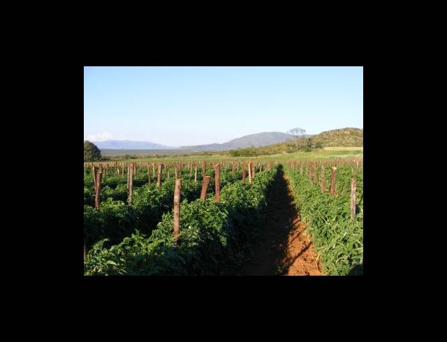 200HA FARM FOR SALE IN MUDEN